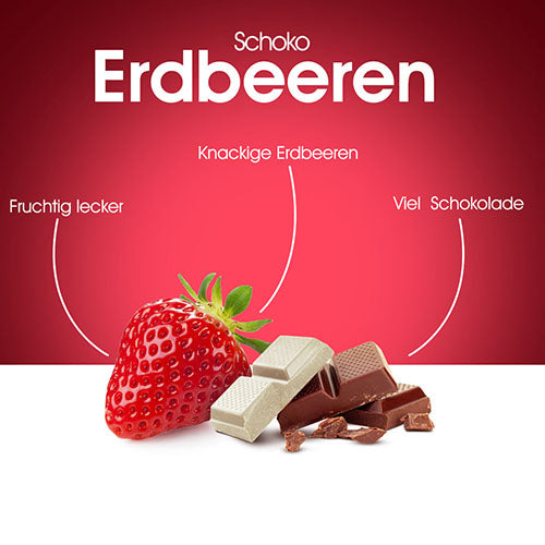 Gefriergetrocknete-Erdbeeren-mit-Schokolade