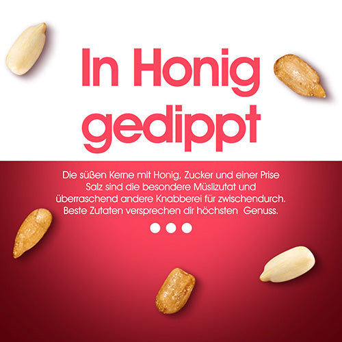 Gebrannte-Sonnenblumenkerne