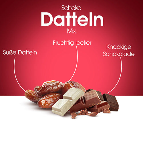 Deglet-Nour-Datteln-mit-Schokolade